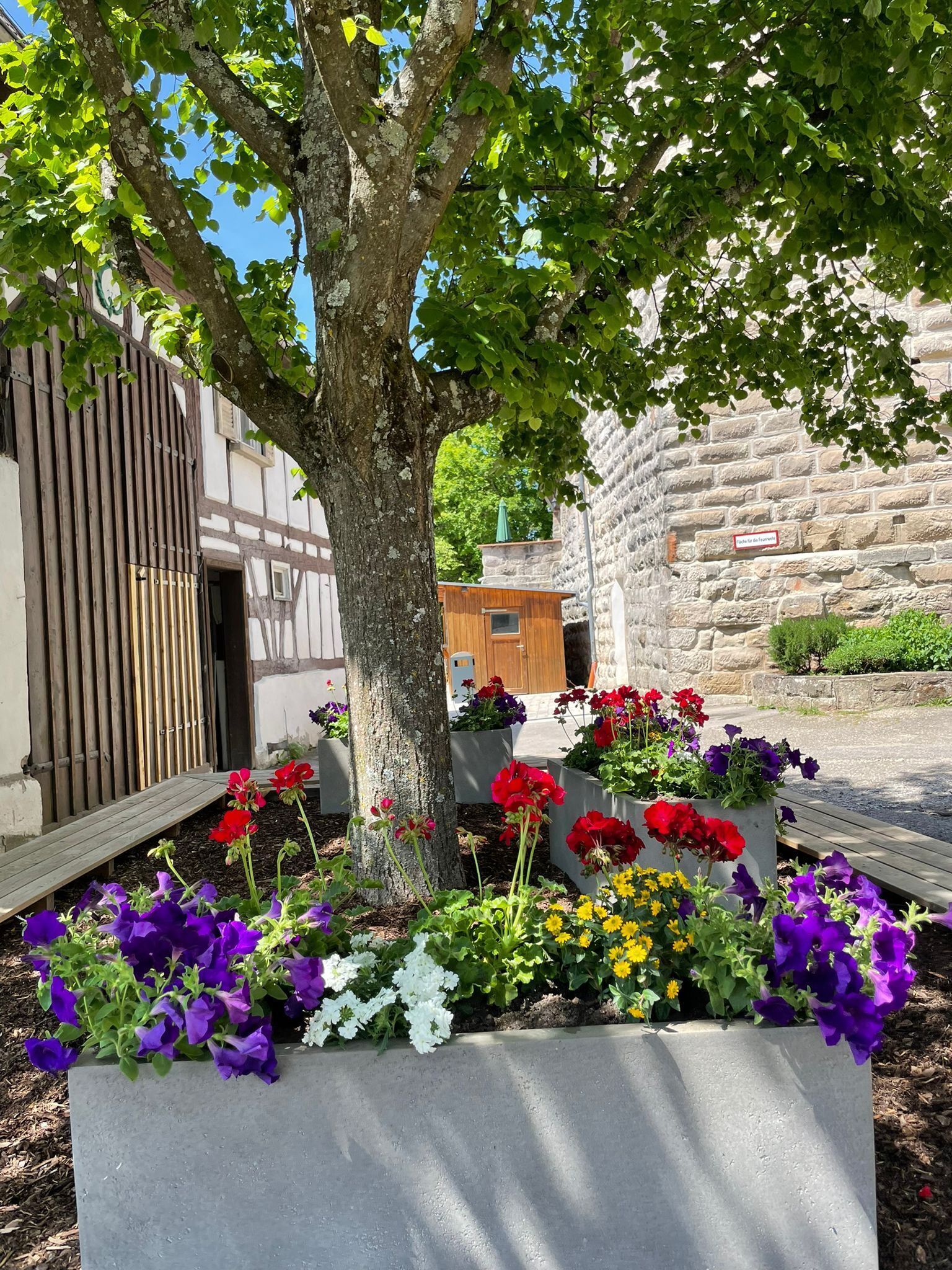 A courtyard with a tree, flower beds, and a stone building.
