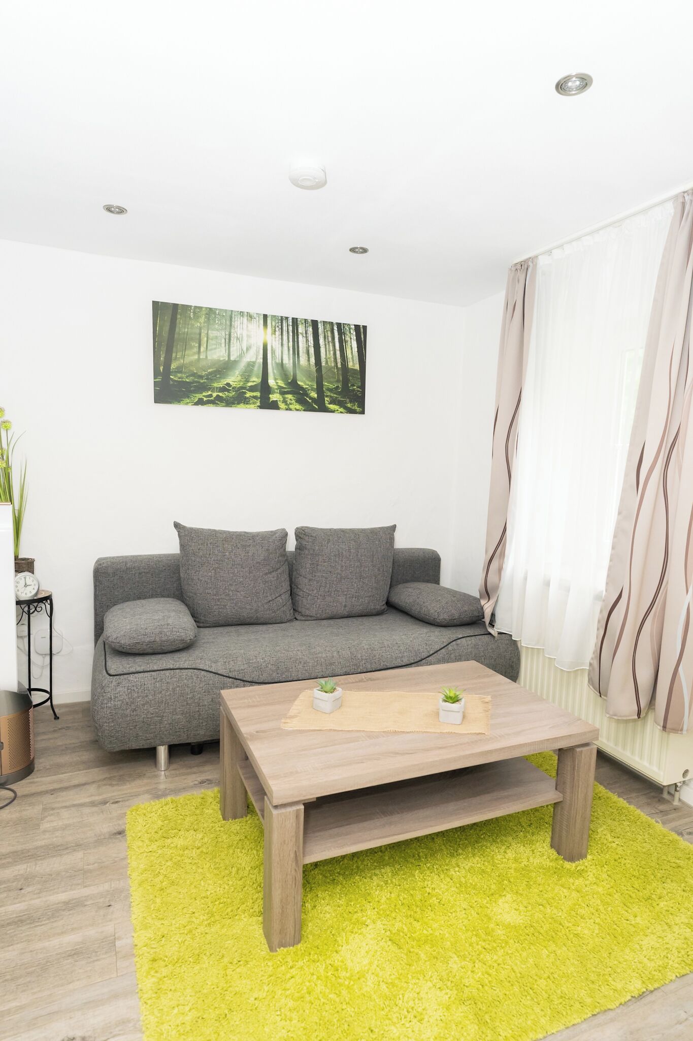 A modern living room with a grey sofa, a wooden coffee table, and a vibrant green rug.