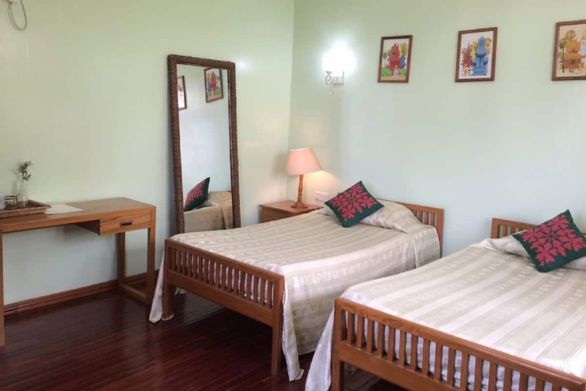 Superior Double or Twin Room | Minibar, desk, rollaway beds, free WiFi