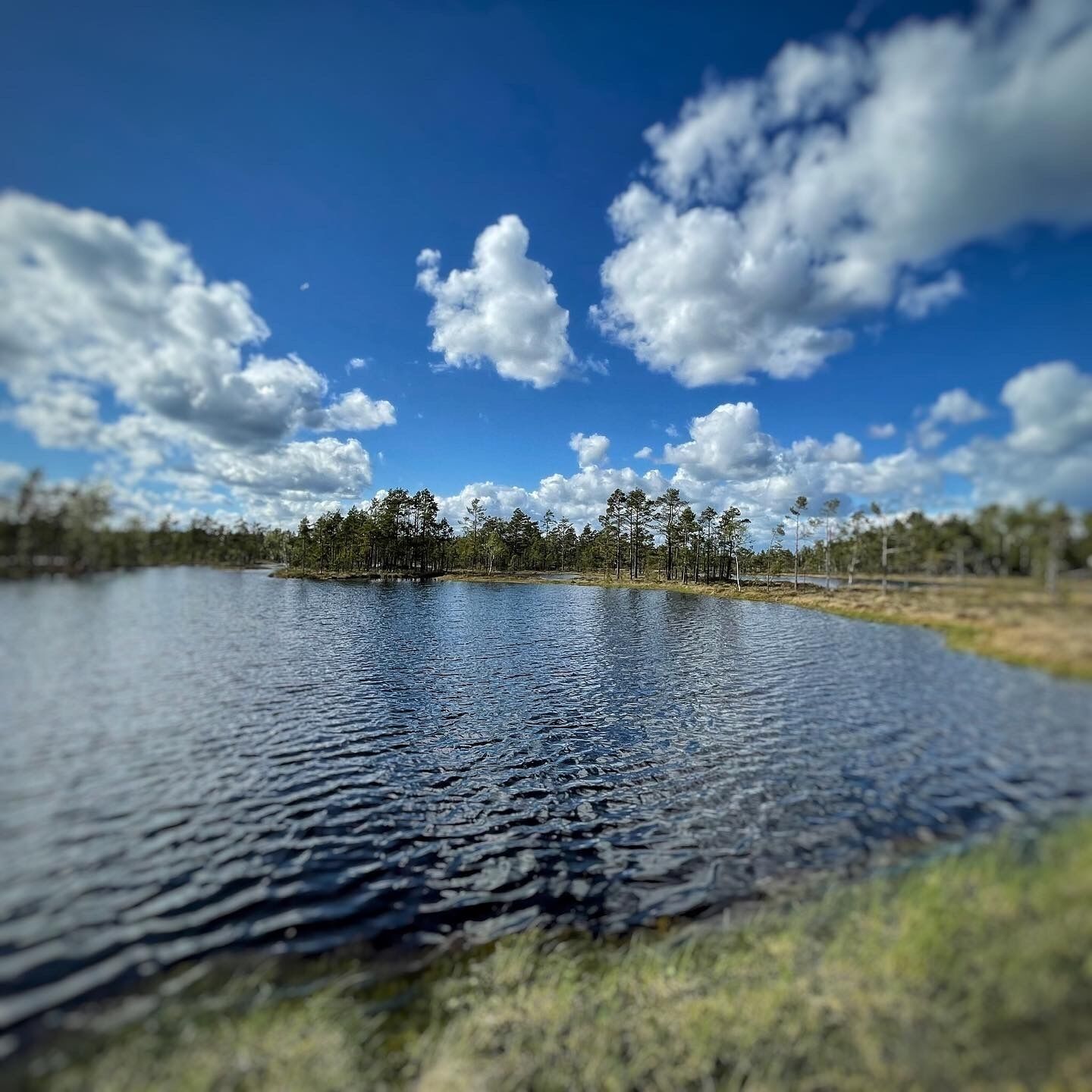 Un lago tranquilo con reflejo claro, rodeado de árboles y un cielo azul con nubes.