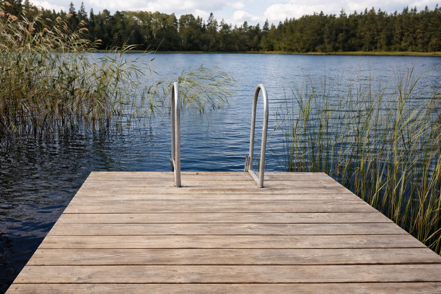 En träbrygga som sträcker sig ut i en sjö, med metallräcken, och som omges av vass och träd.