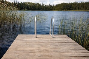 Un muelle de madera que se adentra en un lago, con barandas de metal, rodeado de juncos y árboles.