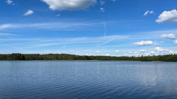 A calm lake with a clear sky and a forested shoreline. - Smålandstorpet (Hok)