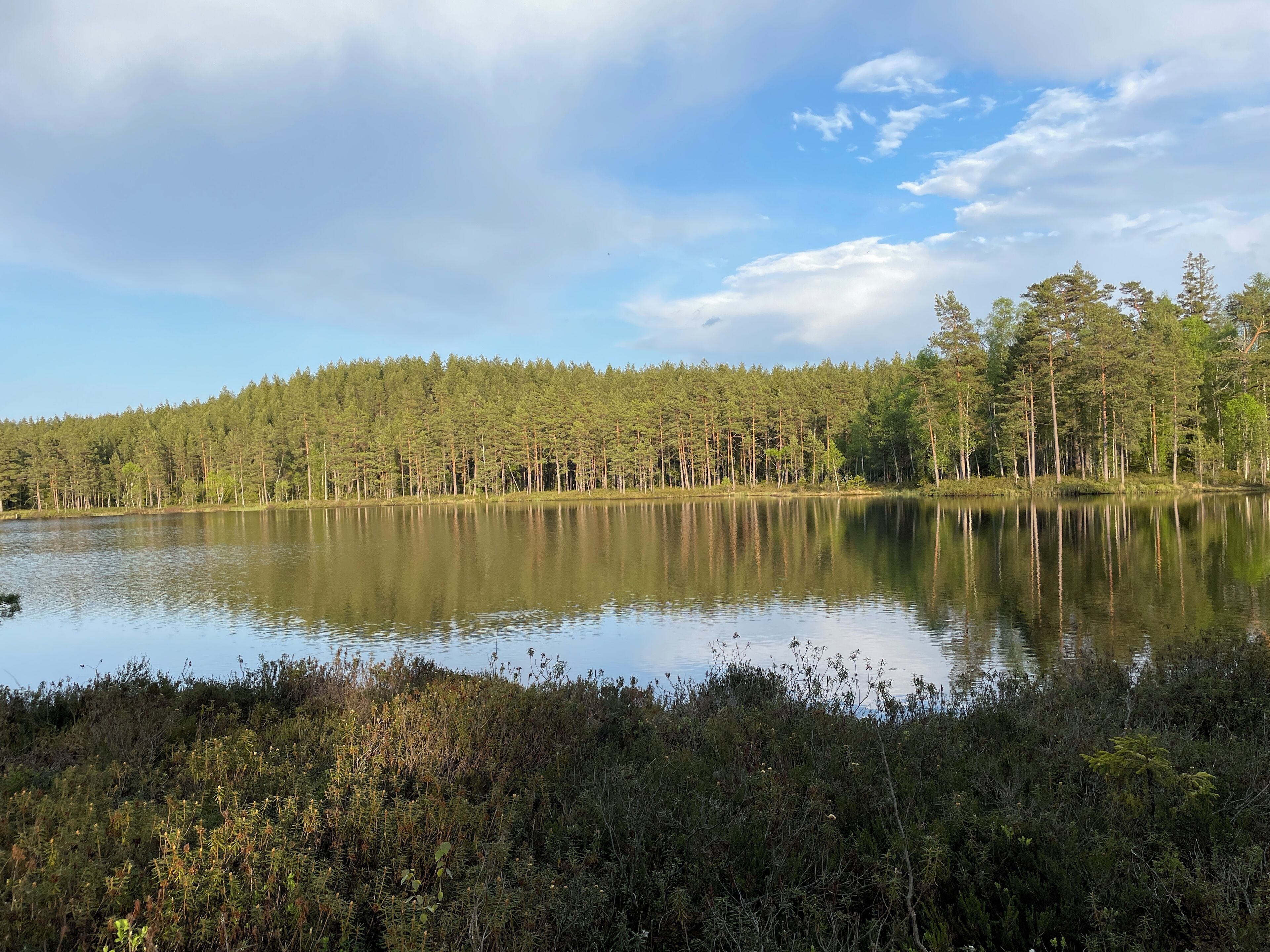 Tasik