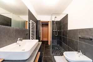 Shower, hair dryer, bidet, towels