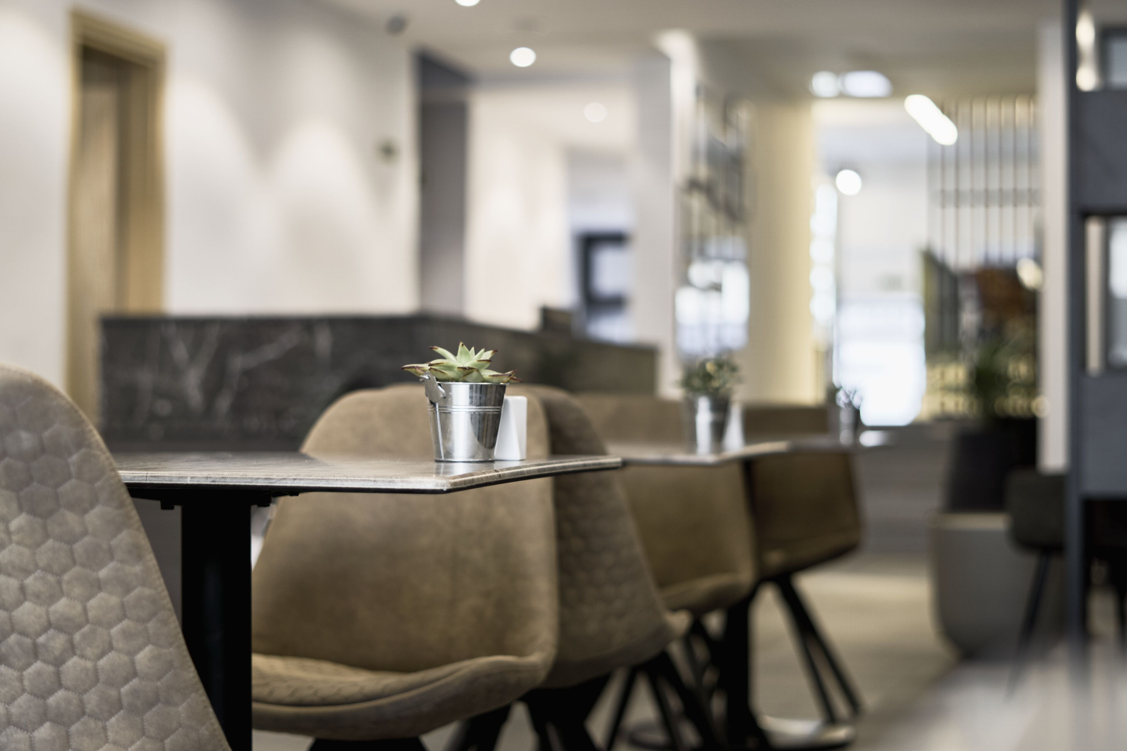 Photo - Mr Todd Hotel