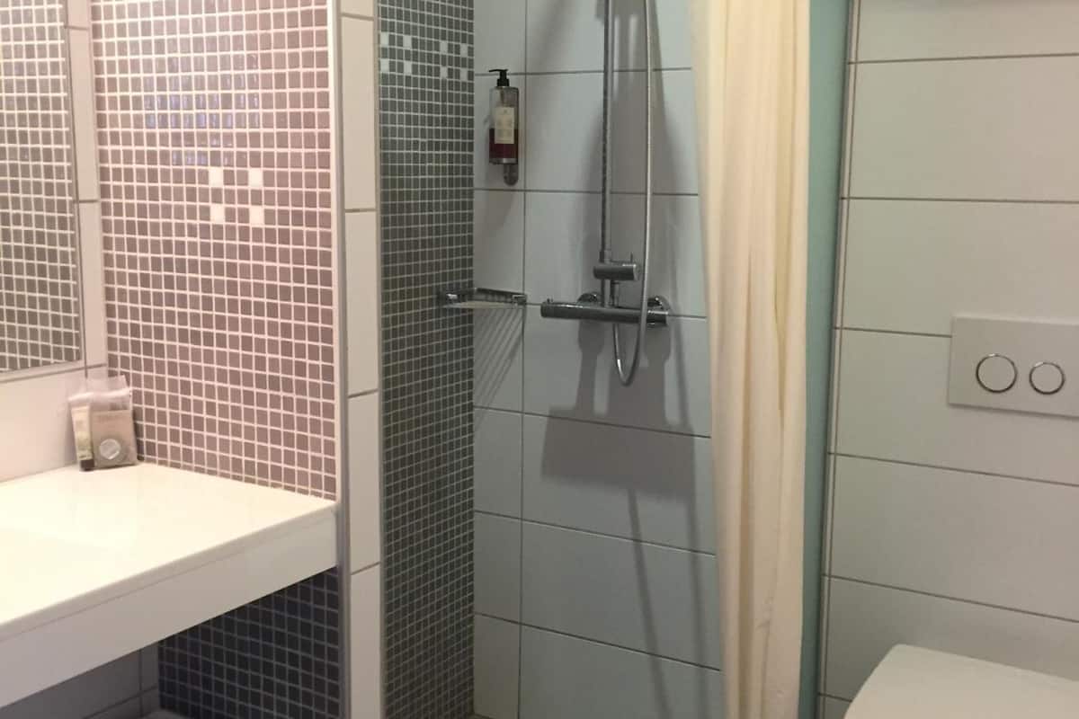 shower, free toiletries, hair dryer, towels