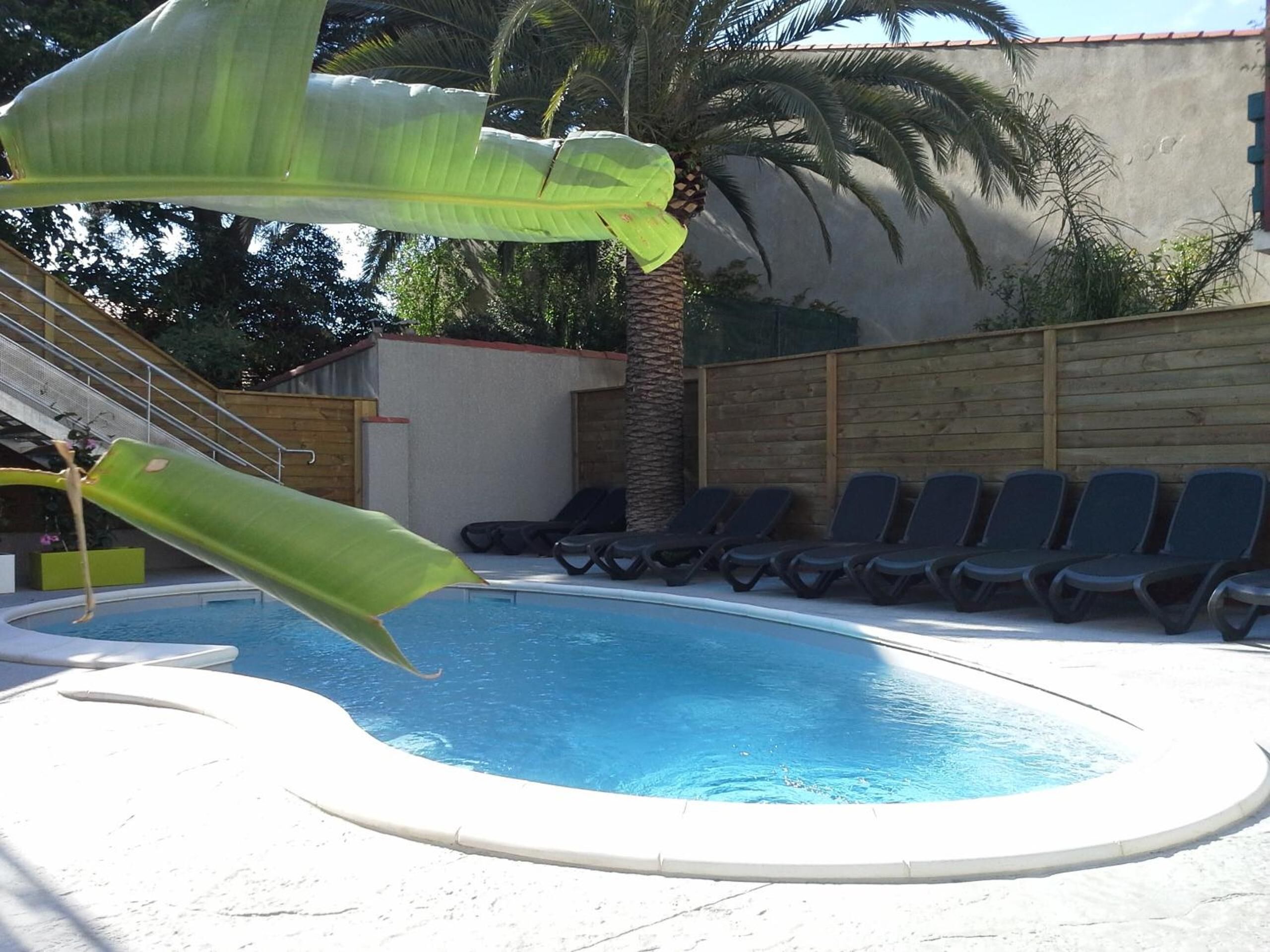 A swimming pool with a slide, lounge chairs, and a palm tree.