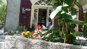 Une entrée d’immeuble avec un chemin en pierre, des plantes en pot et un panneau indicateur.