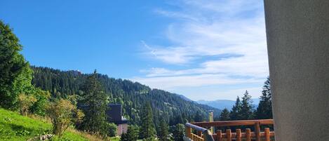 Comfort Suite, Mountain View | View from room