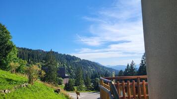 Vue depuis lâhĂ©bergement