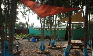 Property grounds - Tom's Garden (Senya Beraku)