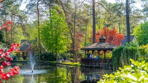 Un belvédère avec un bassin, entouré d’arbres, et un bâtiment visible au loin.