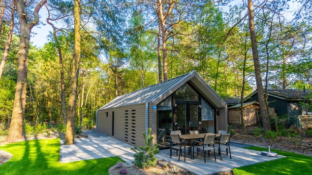 Une cabane dotée d’un patio, entourée d’une forêt.