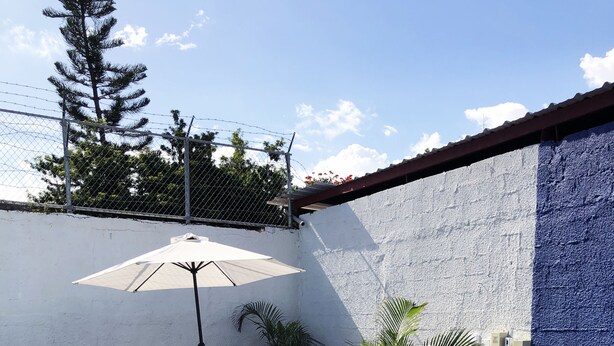 Ein Poolbereich mit Tisch und Stühlen, umgeben von Kübelpflanzen und einer blauen Wand.