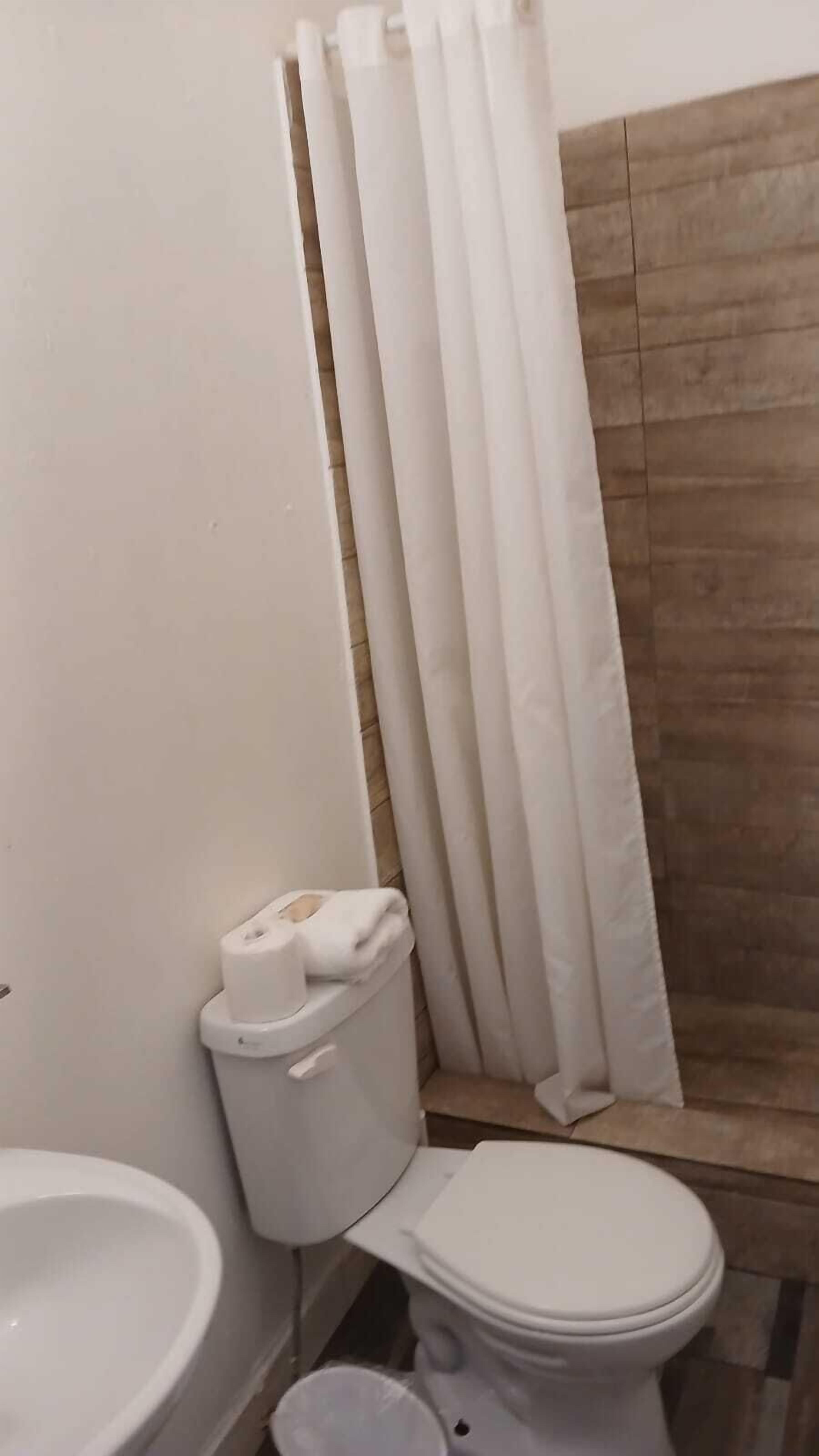 Un baño con inodoro, bidé y cortina de ducha.