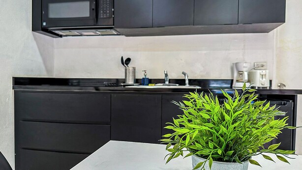 A modern kitchen with black cabinets, a stainless steel countertop, a built-in microwave, a coffee maker, and a potted plant on the counter. - Gladiolas 2101 (Ponce)