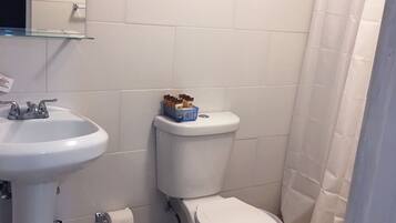 Apartamento, várias camas | Banheiro | Chuveiro, produtos de toalete grátis, secador de cabelo