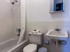 Appartement, 1 chambre | Salle de bain | Douche, sèche-cheveux, serviettes fournies