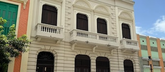 글라디올라스 2203