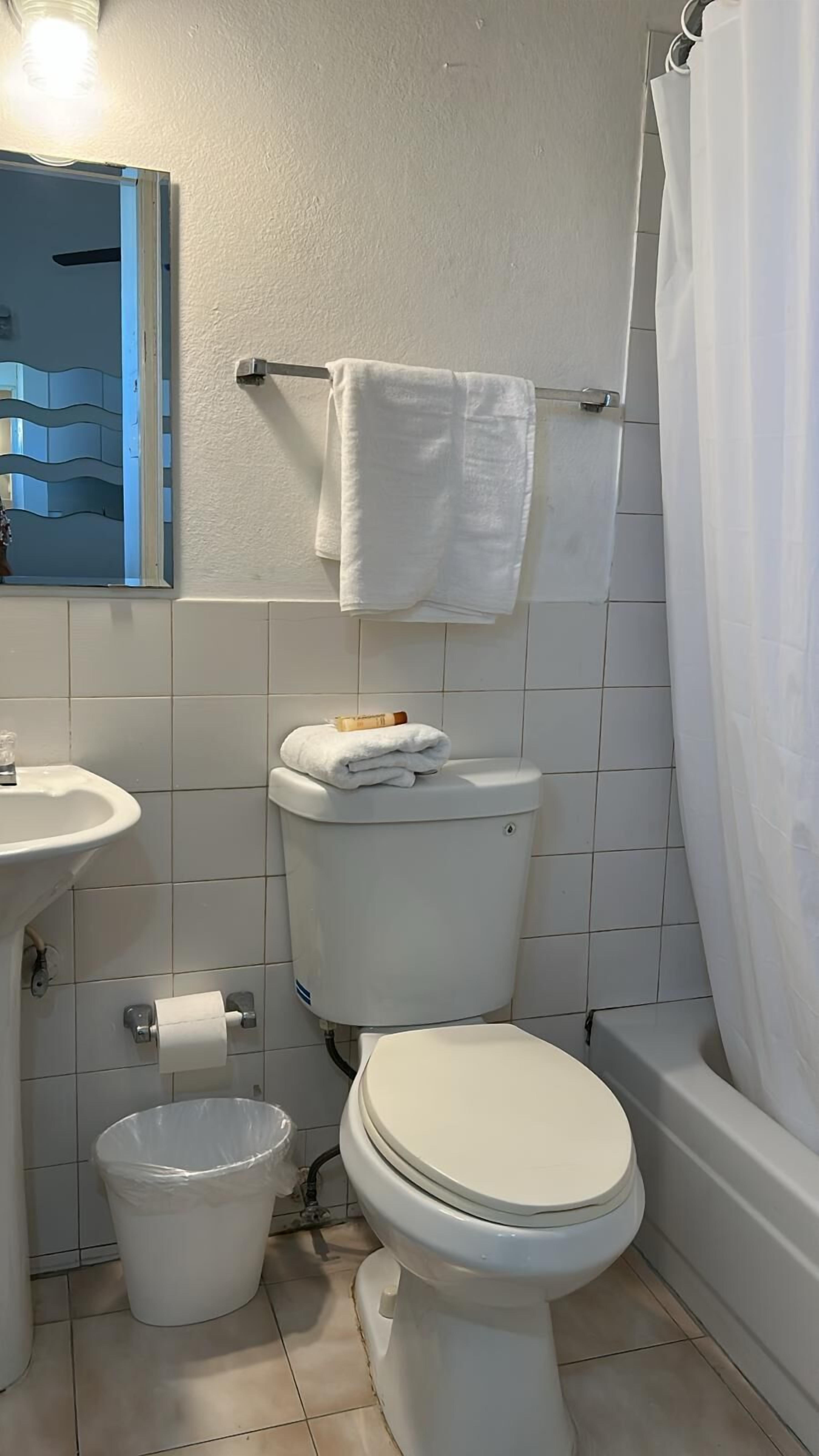 Appartement, 1 slaapkamer | Badkamer | Een douche, een haardroger, handdoeken