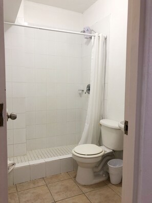 A bathroom with a shower, toilet, and a small trash bin.