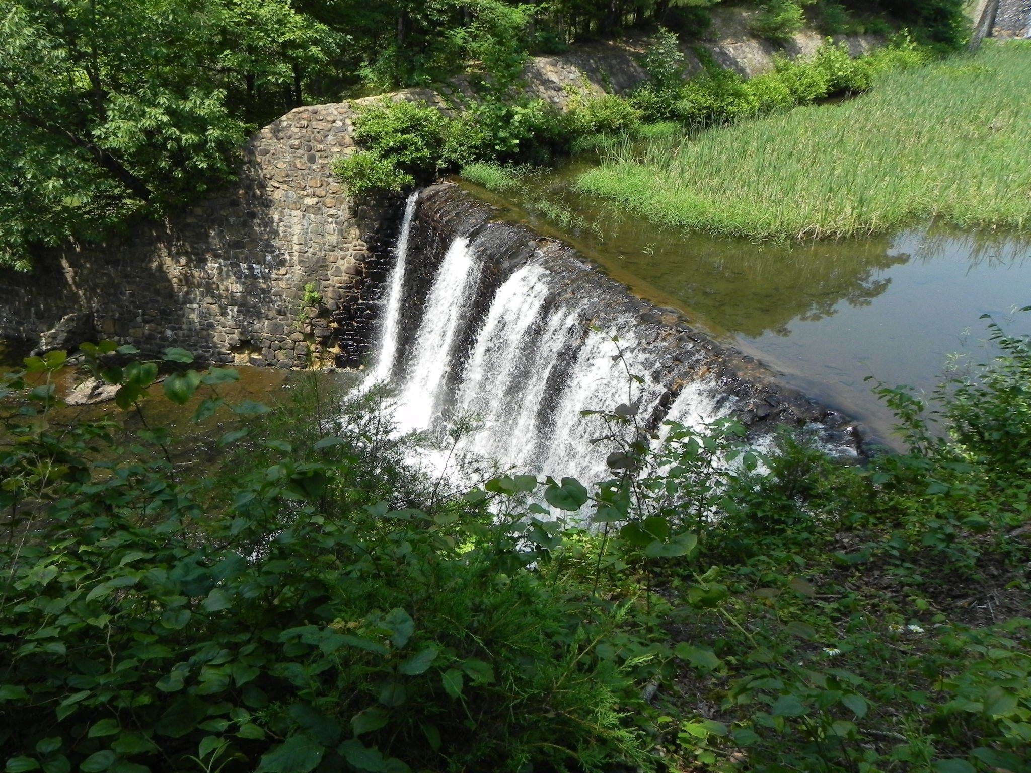 Una cascada que se precipita sobre una estructura de piedra rodeada de abundante vegetación.