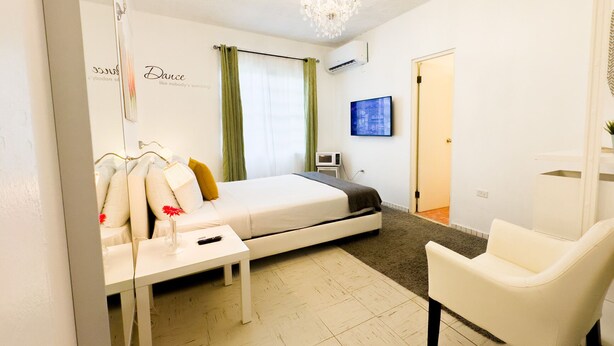 A hotel room with a bed, a bedside table with a vase and remote, a chair, a TV, and a painting on the wall. - Aibonito Hotel 209 (Aibonito)
