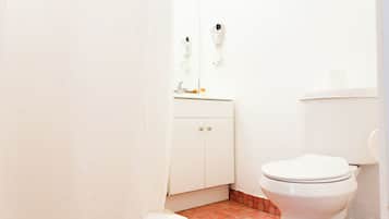 Deluxe Room | Bathroom | Shower, hair dryer, towels
