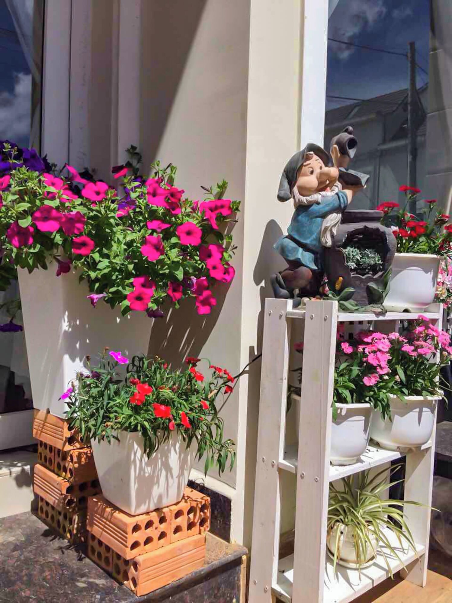 A window sill with various potted plants and a figurine.
