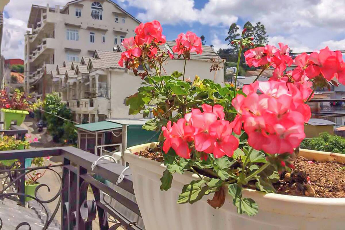 A balcony with a potted plant of pink flowers, a metal railing, and a building with multiple windows in the background.
