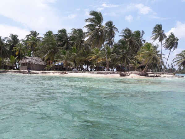A beach with clear turquoise water, palm trees, and thatched-roof huts. - Cabanas Narasgandub - Naranjo Chico (Narganá)