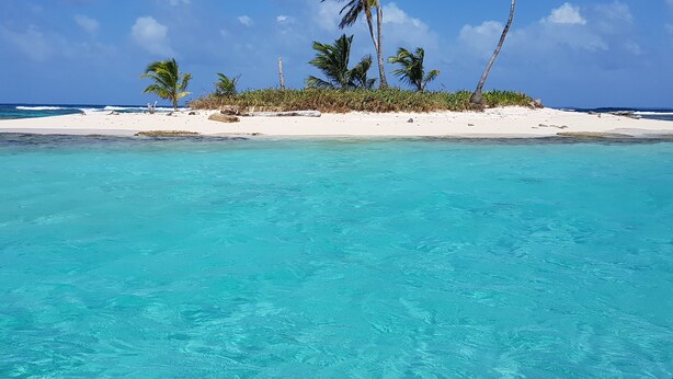 A beach with clear turquoise water, white sand, and palm trees.