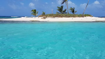 Snorkel, pesca