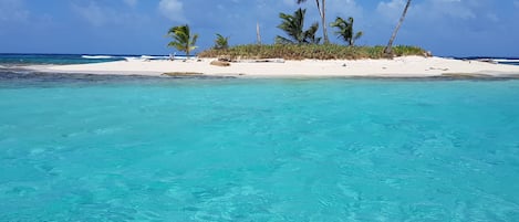 Snorkeling, pêche sur place