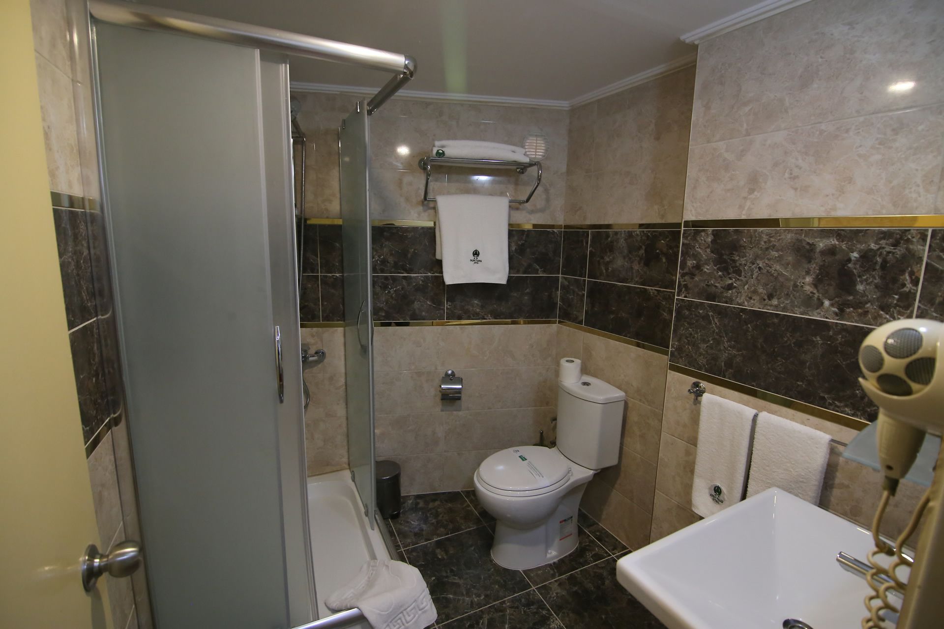 A bathroom with a glass-enclosed shower, a toilet, and a sink.