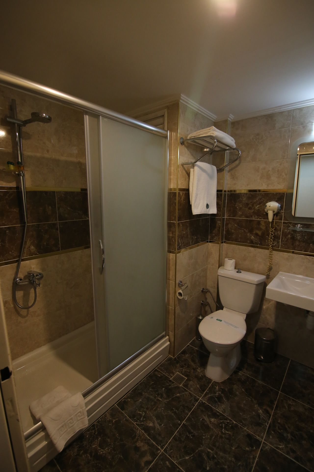 Een badkamer met een douche met glazen wand, een toilet en een wastafel.