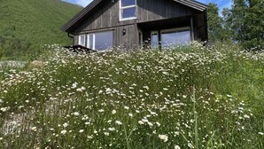Una cabana de fusta moderna amb grans finestres, envoltada per un camp de flors blanques, amb vistes a les verdes muntanyes i un cel serè.