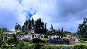 A hillside residential area with houses featuring red-tiled roofs and white walls, surrounded by lush greenery and tall trees.