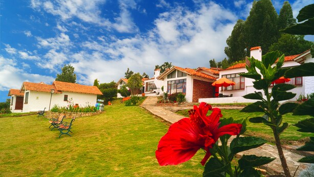 A residential area with houses, a grassy lawn, and a red hibiscus flower. - Hotel Cabañas San Cayetano (Paipa)