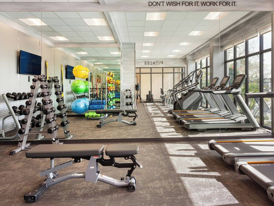 Un gimnasio con cintas de correr, máquinas de pesas y pelotas de ejercicio.