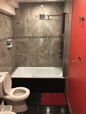 Une salle de bain avec une baignoire, des toilettes et une douche.