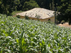 Exterior - Sítio D. Tereza (Paraty)