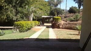 A pathway leading to a covered area with a bench, surrounded by well-maintained hedges and trees. - Sítio D. Tereza (Paraty)