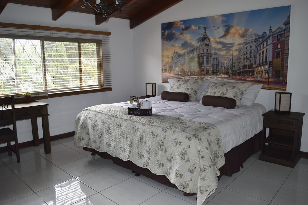 Deluxe Room, 1 King Bed, Private Bathroom (Madrid) | Free WiFi, bed sheets