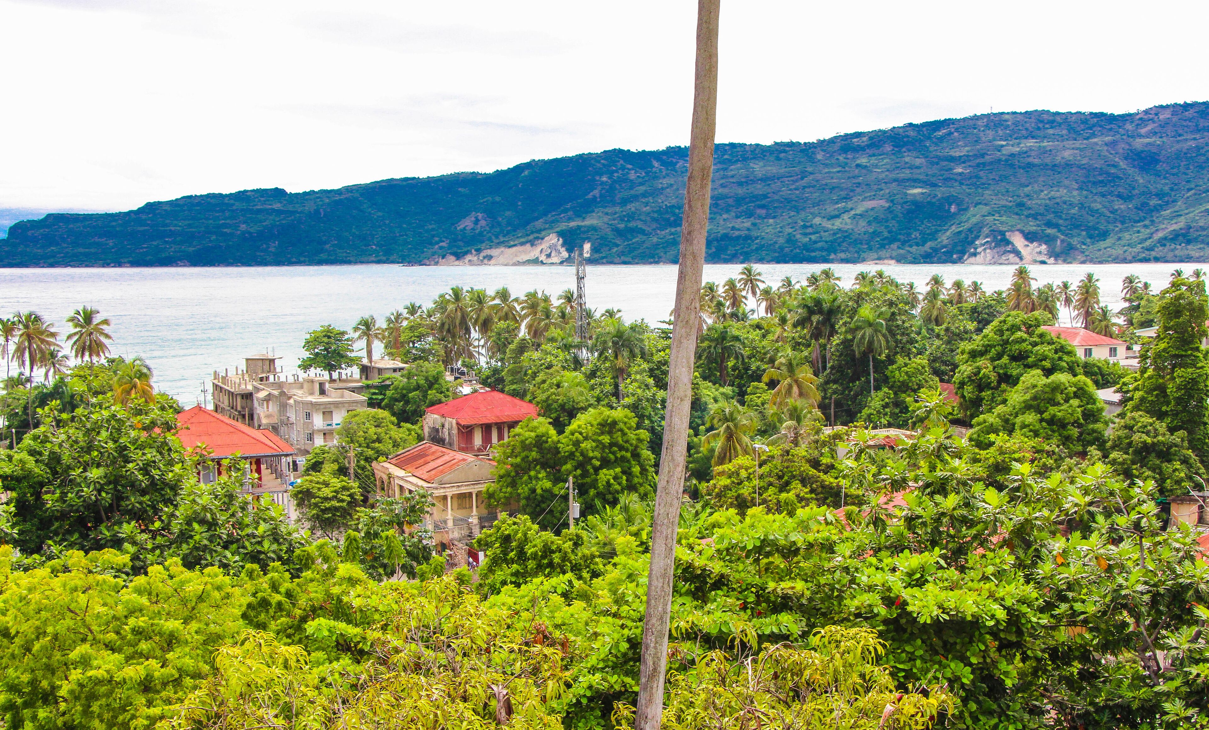 A coastal area with buildings surrounded by lush greenery and palm trees, overlooking the sea.