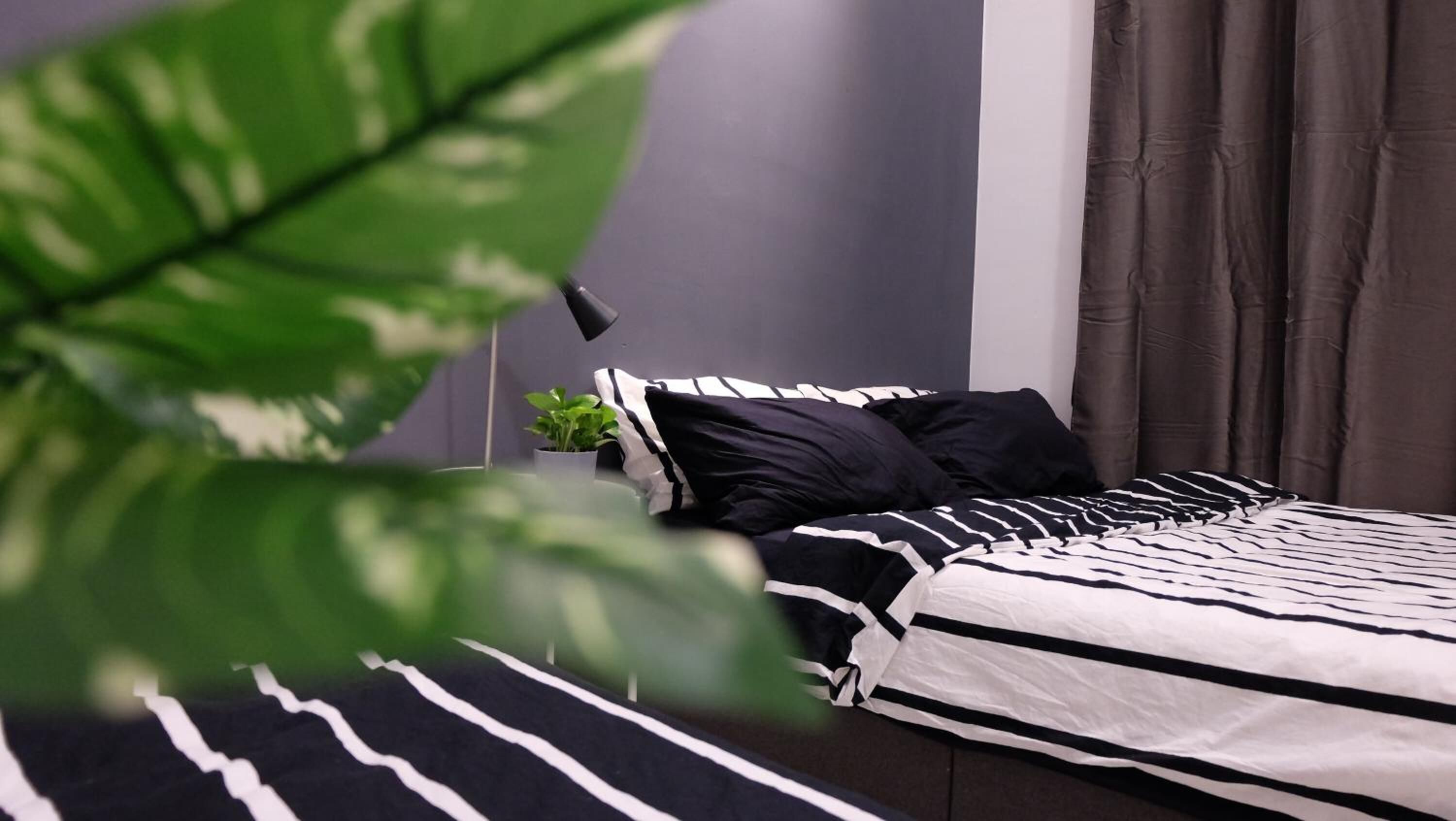 A modern bedroom with a black and white striped bedspread, a small bedside plant, and a dark curtain.