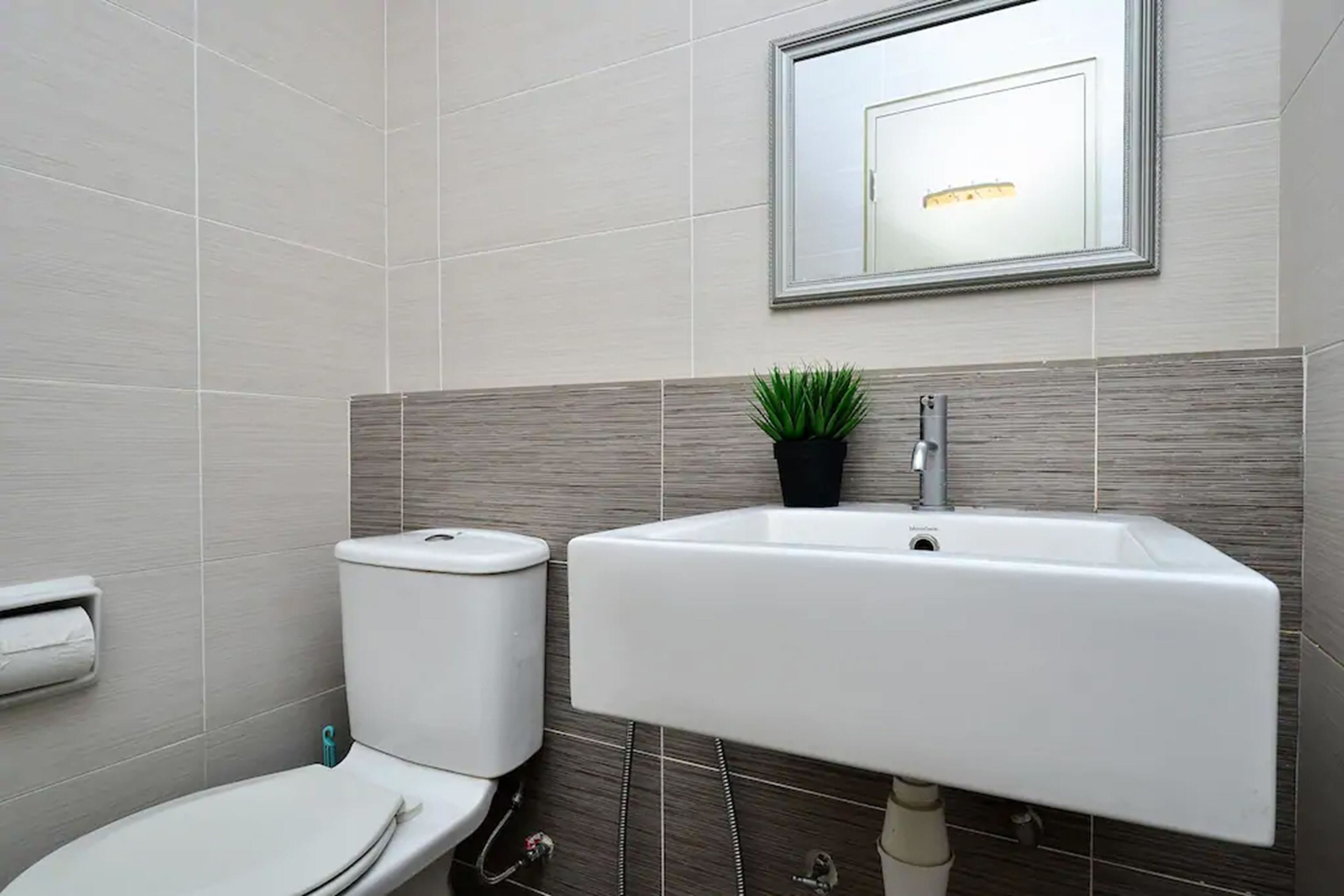 A bathroom with a toilet, sink, and a small potted plant.