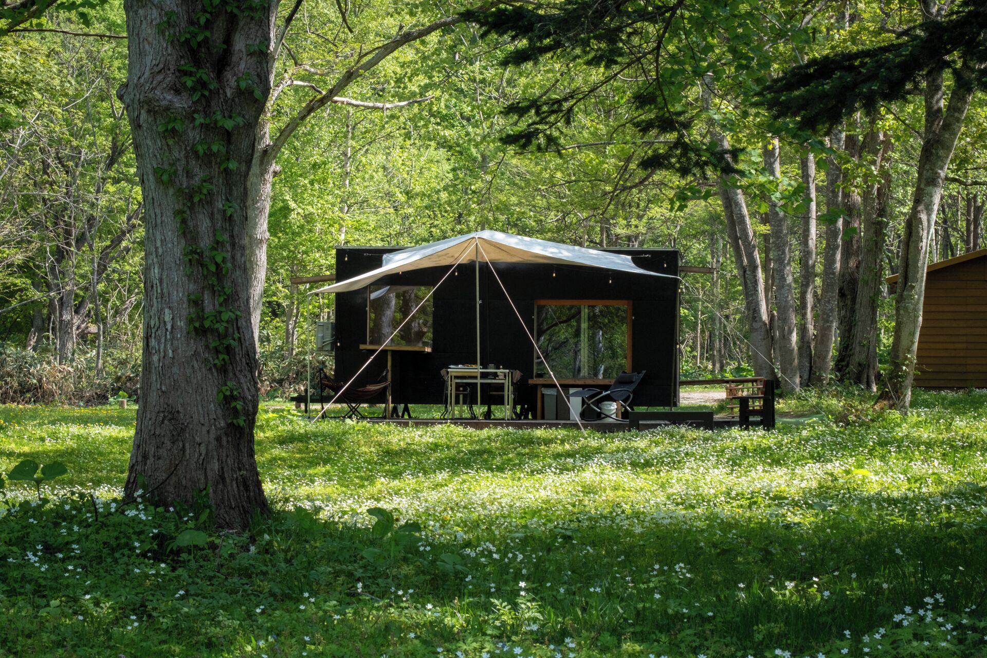 Glamping Cabin