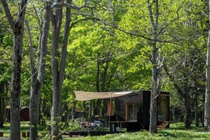 Ferienhütte (Glamping)